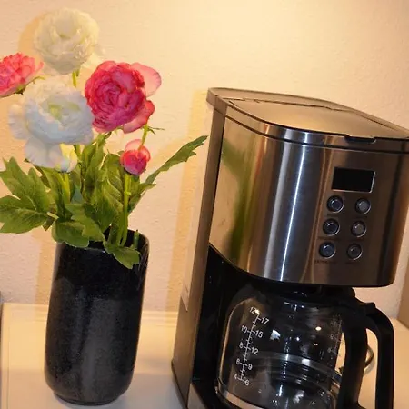 Apartment Vier-zimmer-wohnung Mit Garten Zwischen Salzburg Und Koenigssee *